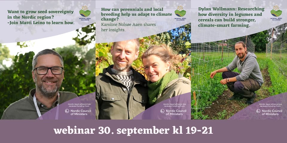 Billede webinar II NSA